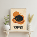 Professional Napper